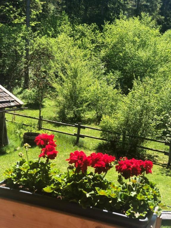 Вилла Landhaus Trinis - Gaestezimmer - Bad - Bett - Kleine Kaffee - Tee-Theke Mit Kuehlschrank - Parkplatz Роттах-Эгерн Экстерьер фото